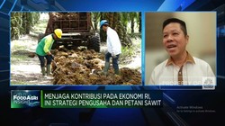Pengusaha Mengeluh Banyak Aturan Hambat Industri Sawit, Ini Sebabnya!