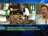 Pengusaha Mengeluh Banyak Aturan Hambat Industri Sawit, Ini Sebabnya!