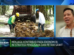 Pengusaha Mengeluh Banyak Aturan Hambat Industri Sawit, Ini Sebabnya!