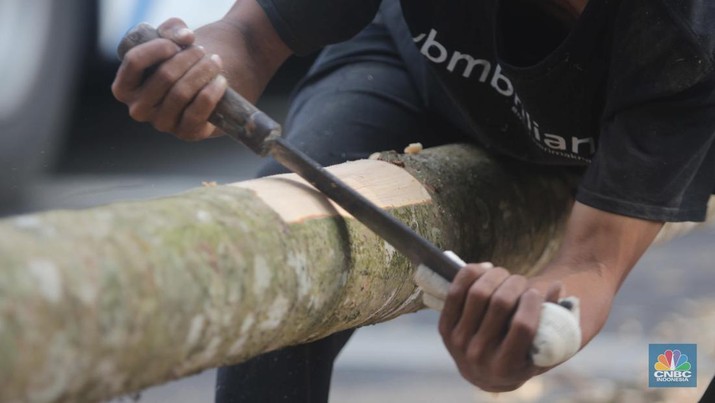 Perajin menyelesaikan pembuatan Pohon Pinang untuk Panjat dan tiang bendera bambu merah putih, di kawasan Manggarai, Jakarta, Kamis (8/8/2024). (CNBC Indonesia/Muhammad Sabki)