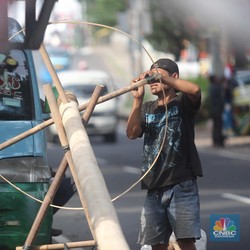 Penampakan Pohon Pinang Diburu Warga Jelang HUT RI, Pedagang Raup Cuan