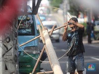 Penampakan Pohon Pinang Diburu Warga Jelang HUT RI, Pedagang Raup Cuan