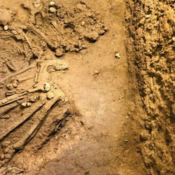 Fosil Manusia Purba Berusia 10.000 Tahun Ditemukan di Vietnam