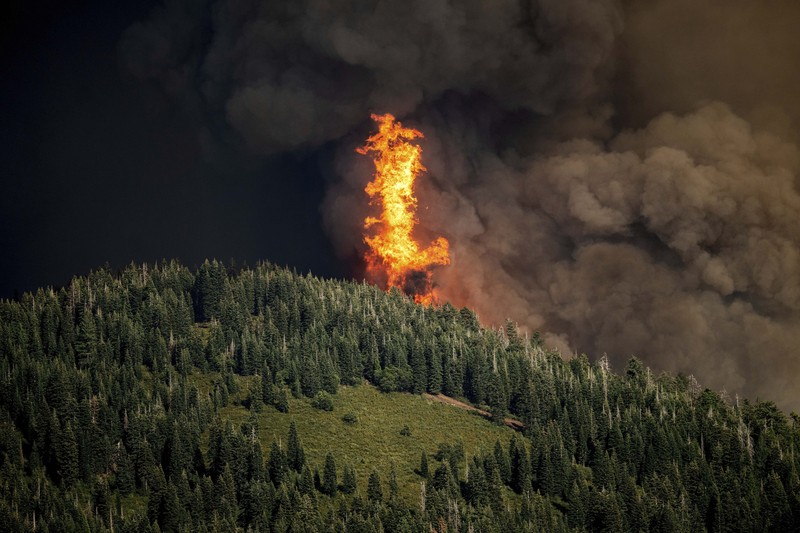 Suasana kebakaran di dekat Mill Creek di Tehama County, California, pada Rabu, (7/8/2024) Agustus 2024. (REUTERS/Fred Greaves) Suasana kebakaran di dekat Mill Creek di Tehama County, California, pada Rabu, (7/8/2024) Agustus 2024. (REUTERS/Fred Greaves)