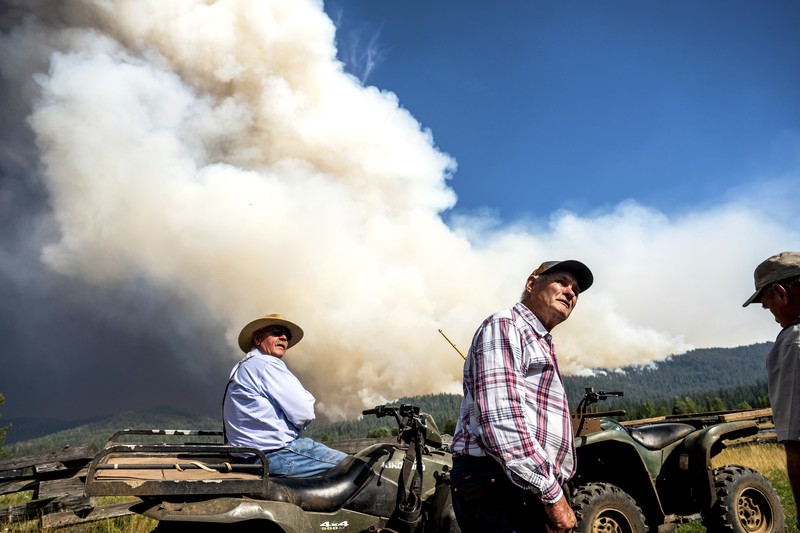 Suasana kebakaran di dekat Mill Creek di Tehama County, California, pada Rabu, (7/8/2024) Agustus 2024. (REUTERS/Fred Greaves) Suasana kebakaran di dekat Mill Creek di Tehama County, California, pada Rabu, (7/8/2024) Agustus 2024. (REUTERS/Fred Greaves)