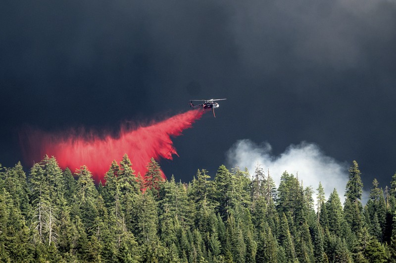 Suasana kebakaran di dekat Mill Creek di Tehama County, California, pada Rabu, (7/8/2024) Agustus 2024. (REUTERS/Fred Greaves)