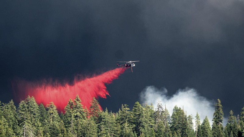Suasana kebakaran di dekat Mill Creek di Tehama County, California, pada Rabu, (7/8/2024) Agustus 2024. (REUTERS/Fred Greaves)
