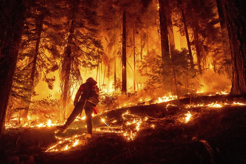 Suasana kebakaran di dekat Mill Creek di Tehama County, California, pada Rabu, (7/8/2024) Agustus 2024. (REUTERS/Fred Greaves) Suasana kebakaran di dekat Mill Creek di Tehama County, California, pada Rabu, (7/8/2024) Agustus 2024. (REUTERS/Fred Greaves)