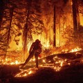 Bencana Baru Hantam AS, California 'Gosong' Terbakar