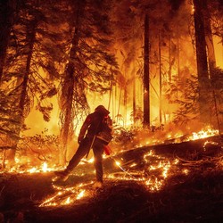 Bencana Baru Hantam AS, California 'Gosong' Terbakar