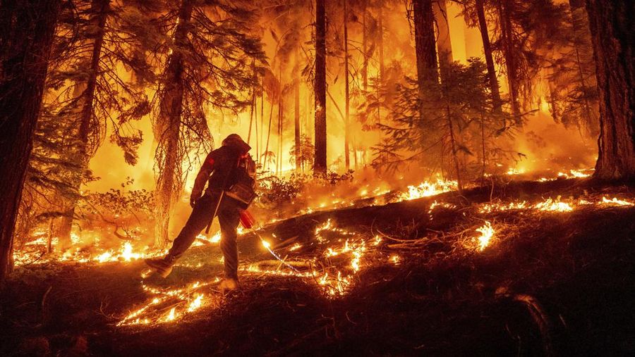 Suasana kebakaran di dekat Mill Creek di Tehama County, California, pada Rabu, (7/8/2024) Agustus 2024. (REUTERS/Fred Greaves)
