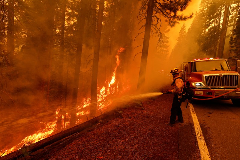 Suasana kebakaran di dekat Mill Creek di Tehama County, California, pada Rabu, (7/8/2024) Agustus 2024. (REUTERS/Fred Greaves)