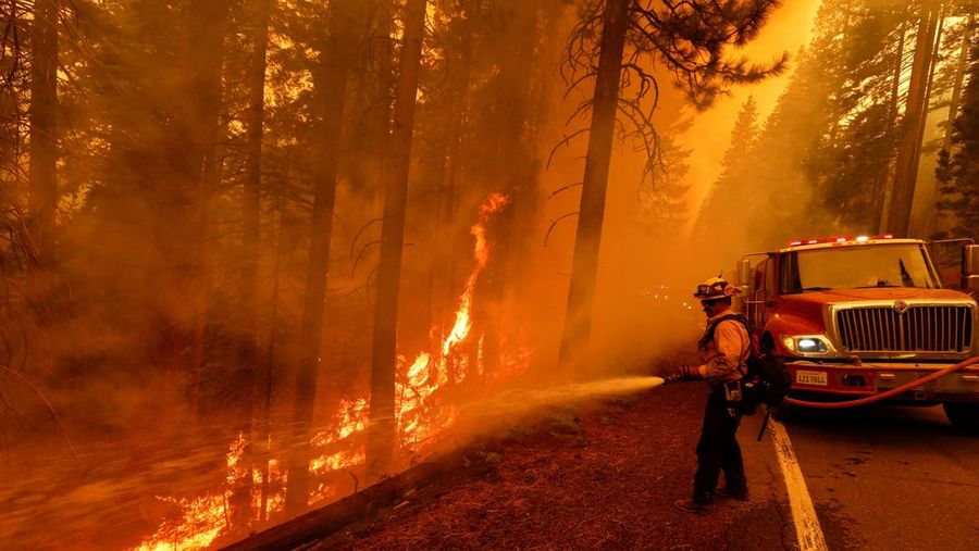 Suasana kebakaran di dekat Mill Creek di Tehama County, California, pada Rabu, (7/8/2024) Agustus 2024. (REUTERS/Fred Greaves)
