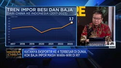 Katanya Eksportir ke-4 di Dunia, Tapi Baja Impor Wara-Wiri di RI
