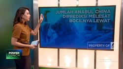Video: Jumlah Anabul China Diprediksi Melesat, Bocilnya Lewat