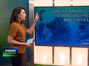 Video: Jumlah Anabul China Diprediksi Melesat, Bocilnya Lewat