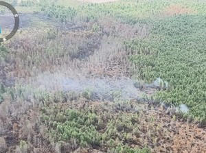 Karhutla di PALI Sisakan Spot Kecil Usai Terbakar Selama 15 Hari