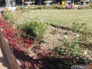 40% Alun-Alun Malang Rusak Usai HUT Arema, Perbaikan Butuh Rp 100 Juta