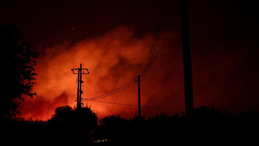 Asap mengepul saat kebakaran hutan melanda desa Varnavas, dekat Athena, Yunani, 11 Agustus 2024. (REUTERS/Hilary Swift)