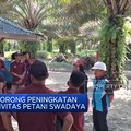 Video: BPDPKS Dorong Peningkatan Produktivitas Petani Swadaya