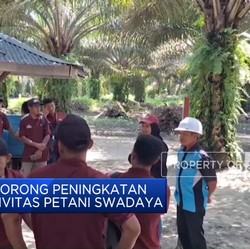 Video: BPDPKS Dorong Peningkatan Produktivitas Petani Swadaya