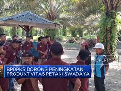 Video: BPDPKS Dorong Peningkatan Produktivitas Petani Swadaya