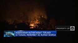 Video: Yunani Membara, Hutan & Permukiman Terbakar Hebat