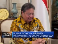 Video: Intip Prestasi Golkar & Perjalanan Karir Airlangga Hartarto