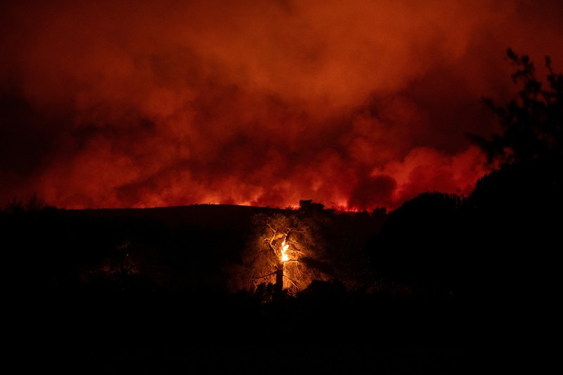Penduduk setempat berdiri di samping mobil saat asap mengepul dari kebakaran hutan yang terjadi di desa Varnavas, dekat Athena, Yunani, 11 Agustus 2024. Penduduk setempat berdiri di samping mobil saat asap mengepul dari kebakaran hutan yang terjadi di desa Varnavas, dekat Athena, Yunani, 11 Agustus 2024. (REUTERS/Hilary Swift)