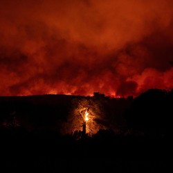 Potret Yunani Membara bak 'Neraka', Hutan Terbakar-Permukiman Hangus