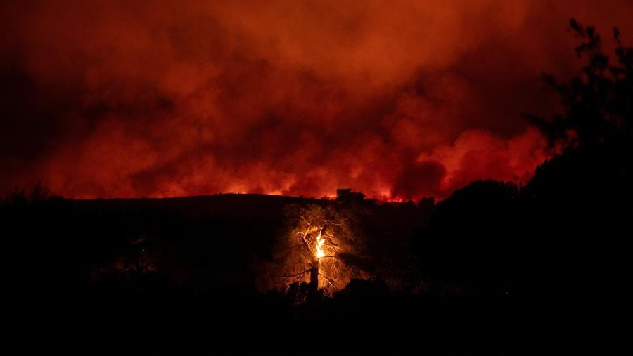 Penduduk setempat berdiri di samping mobil saat asap mengepul dari kebakaran hutan yang terjadi di desa Varnavas, dekat Athena, Yunani, 11 Agustus 2024. (REUTERS/Hilary Swift)