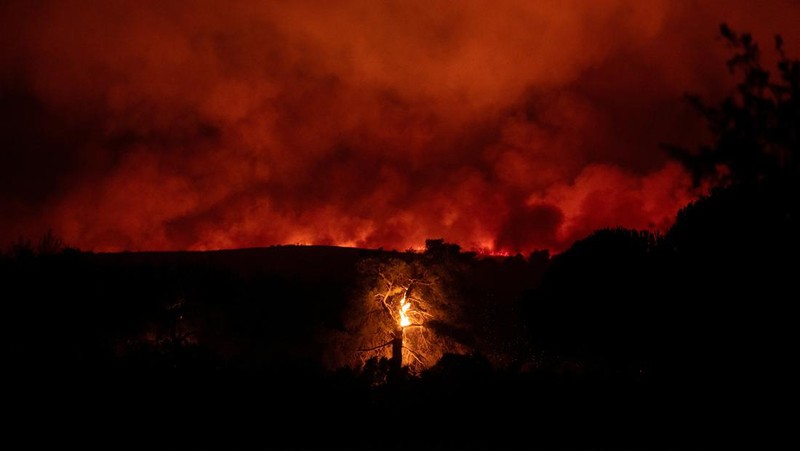 Penduduk setempat berdiri di samping mobil saat asap mengepul dari kebakaran hutan yang terjadi di desa Varnavas, dekat Athena, Yunani, 11 Agustus 2024. (REUTERS/Hilary Swift)