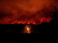 Potret Yunani Membara bak 'Neraka', Hutan Terbakar-Permukiman Hangus