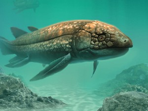 Penemuan Spesies Ikan Aneh Berusia 210 Juta Tahun, Hidup dari Era Awal Dinosaurus