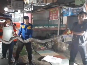 Saluran Air Rumah Warga di Asahan Tak Mengalir, saat Dicek Ada Ular Piton