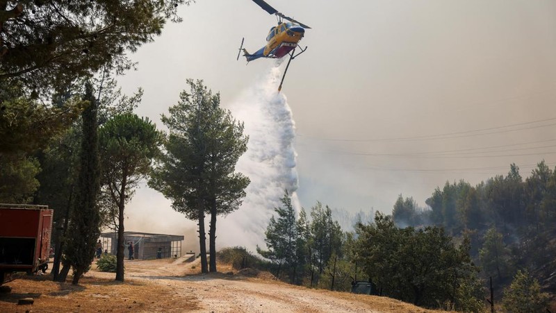 Sebuah bangunan sekolah menengah atas dan pusat kebugarannya terlihat terbakar saat kebakaran hutan melanda Nea Penteli, dekat Athena, Yunani, 12 Agustus 2024. (REUTERS/Alexandros Avramidis)