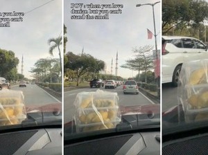 Kreatif! Wanita Ini Taruh Durian di Kap Mobil karena Tak Tahan Baunya