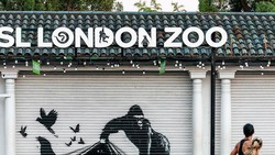 Lagi, Banksy Buat Mural Badak Bercula-Gorila di London