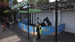 Kebun Binatang London Hapus Mural Banksy, Ada Apa Ya?