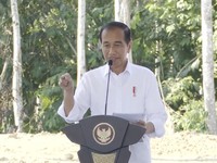 Jokowi Akhirnya Bisa Tidur Nyenyak & Pulas di IKN, Ternyata karena Ini
