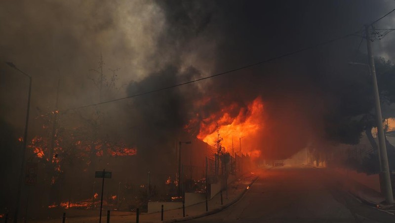 Sebuah bangunan sekolah menengah atas dan pusat kebugarannya terlihat terbakar saat kebakaran hutan melanda Nea Penteli, dekat Athena, Yunani, 12 Agustus 2024. (REUTERS/Alexandros Avramidis)
