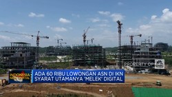 Video: Ada 60.000 Lowongan ASN di IKN, Syarat Utamanya 'Melek' Digital