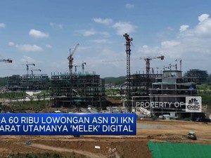 Video: Ada 60.000 Lowongan ASN di IKN, Syarat Utamanya 'Melek' Digital