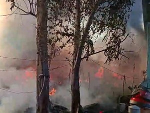 Lapak di Pejagalan Jakut Kebakaran, Asap Hitam Membubung