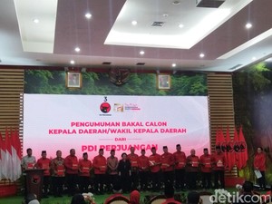 Daftar Cagub/Cawagub yang Resmi Diusung PDIP, Ada Edy hingga Mualem