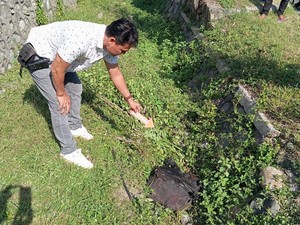 Heboh Tas Berbau Busuk Berisi Bangkai Anjing di Mataram