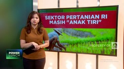Video: Sektor Pertanian RI Masih