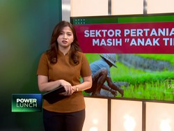 Video: Sektor Pertanian RI Masih "Anak Tiri"