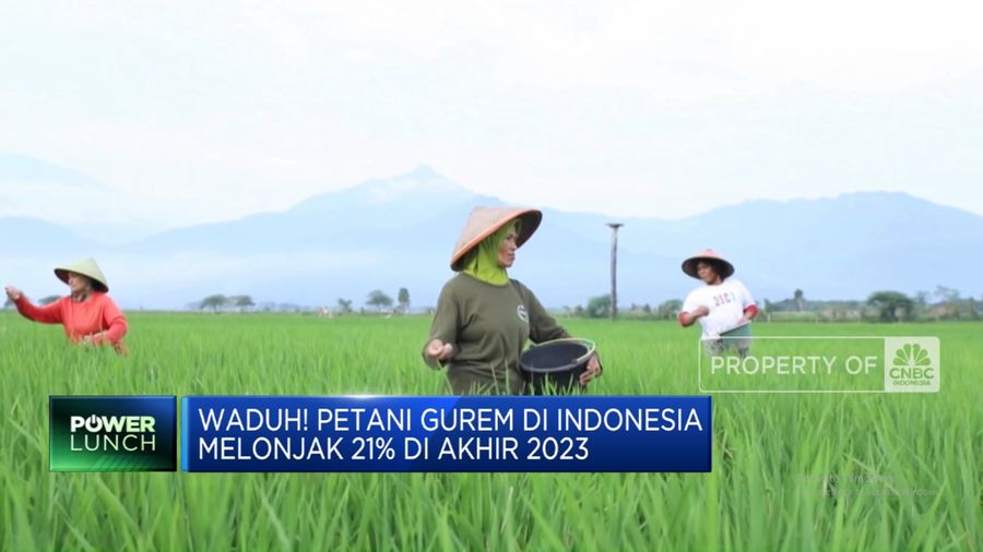 Waduh! Petani Gurem di Indonesia Melonjak 21% di Akhir 2023