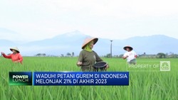 Video: Waduh! Petani Gurem di Indonesia Melonjak 21% di Akhir 2023